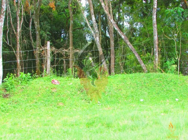 TERRENO A VENDA COM 1550 METROS EM COLOMBO/PR: 10ª foto da galeria de imagens do imóvel