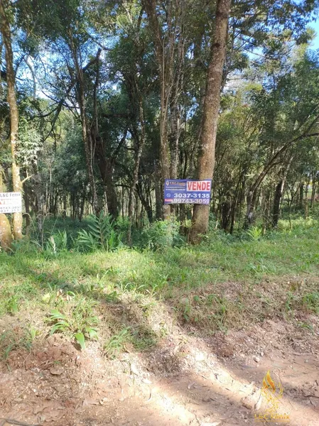 TERRENO A VENDA COM 1550 METROS EM COLOMBO/PR: 28ª foto da galeria de imagens do imóvel