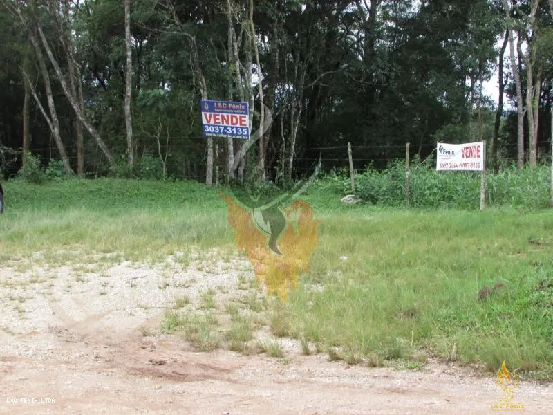 TERRENO A VENDA COM 1550 METROS EM COLOMBO/PR: 8ª foto da galeria de imagens do imóvel