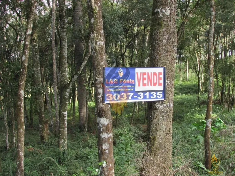 TERRENO A VENDA COM 1550 METROS EM COLOMBO/PR: 19ª foto da galeria de imagens do imóvel