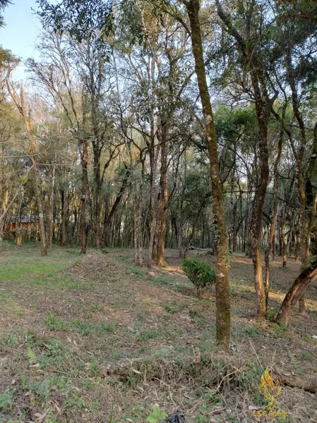 TERRENO A VENDA COM 1550 METROS EM COLOMBO/PR: 36ª foto da galeria de imagens do imóvel
