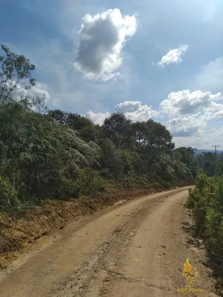 SÍTIO  A VENDA: 9ª foto da galeria de imagens do imóvel