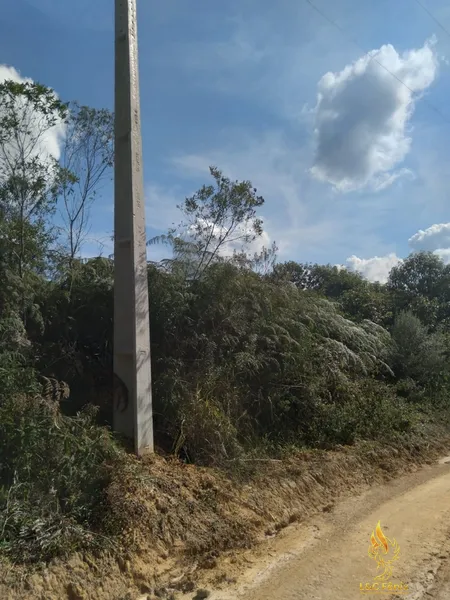 SÍTIO  A VENDA: 12ª foto da galeria de imagens do imóvel