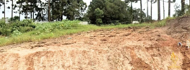 Terreno à Venda – Oportunidade Imperdível para Construtoras!: 10ª foto da galeria de imagens do imóvel