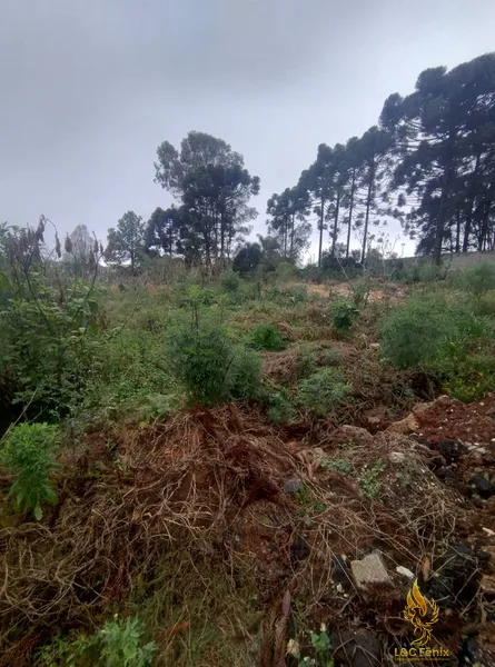 Terreno à Venda – Oportunidade Imperdível para Construtoras!: 5ª foto da galeria de imagens do imóvel