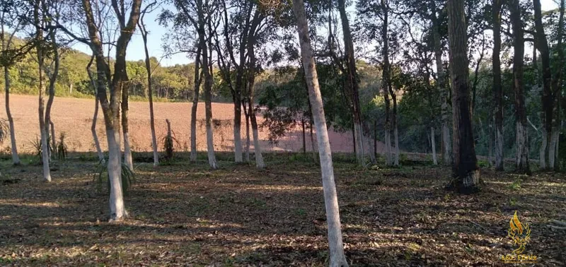 CHACARA EM CAMPO LARGO: 12ª foto da galeria de imagens do imóvel