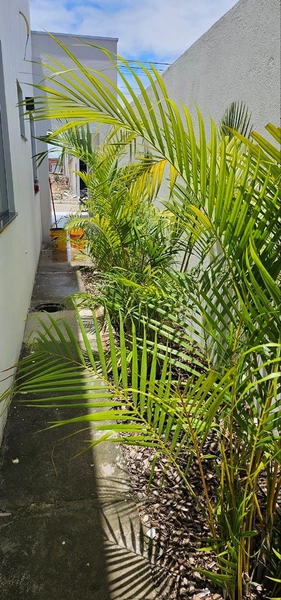 null: 6ª foto da galeria de imagens do imóvel