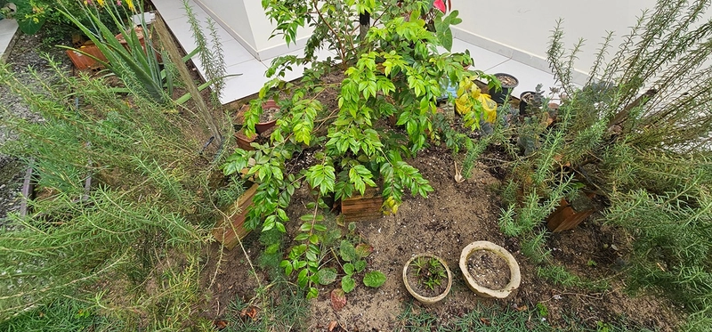 null: 30ª foto da galeria de imagens do imóvel