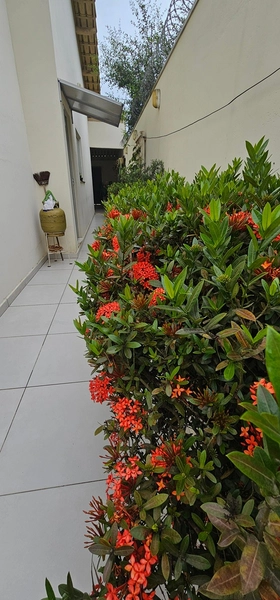 null: 31ª foto da galeria de imagens do imóvel