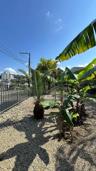 Residência Exclusiva na Área Nobre de Brusque – 5.000.000,00: 12ª foto da galeria de imagens do imóvel