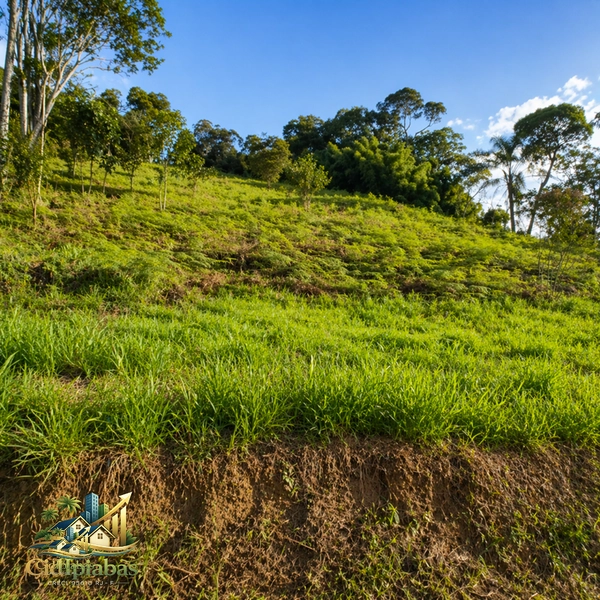 🌄 Terreno à Venda em Ipiabas – 2.000m² no Parque Veraneio | Vista e Alto Potencial: 4ª foto da galeria de imagens do imóvel