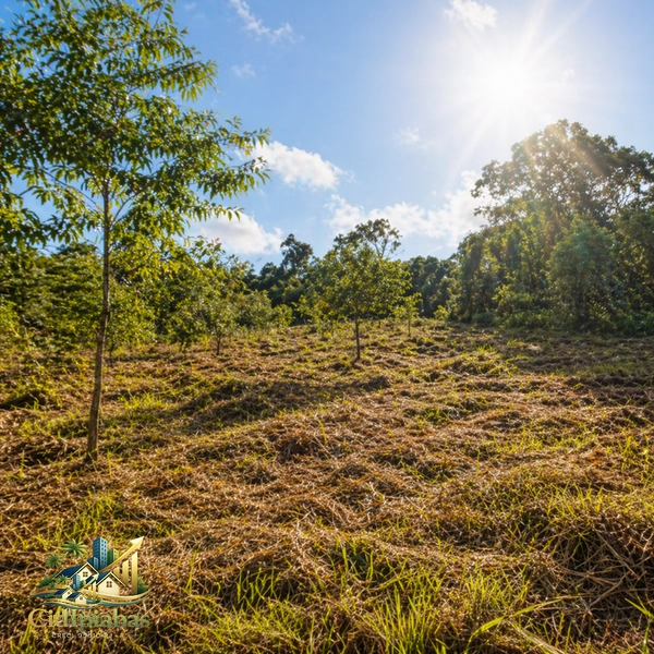 🌄 Terreno à Venda em Ipiabas – 2.000m² no Parque Veraneio | Vista e Alto Potencial: 8ª foto da galeria de imagens do imóvel