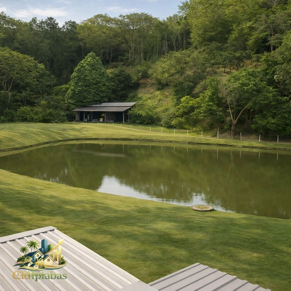 🏡 Casa à Venda em Ipiabas – 4 Quartos, Vista Panorâmica, Lago e Terreno de 5.000m²: 19ª foto da galeria de imagens do imóvel