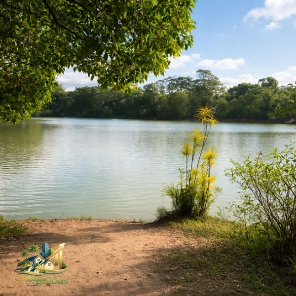 🏡 Casa à Venda em Ipiabas – 4 Quartos, Vista Panorâmica, Lago e Terreno de 5.000m²: 22ª foto da galeria de imagens do imóvel