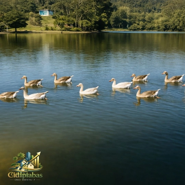 🏡 Casa à Venda em Ipiabas – 4 Quartos, Vista Panorâmica, Lago e Terreno de 5.000m²: 24ª foto da galeria de imagens do imóvel