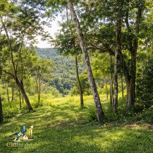 🌄Terreno à Venda em Ipiabas – 1.257m² com Vista Privilegiada: 5ª foto da galeria de imagens do imóvel