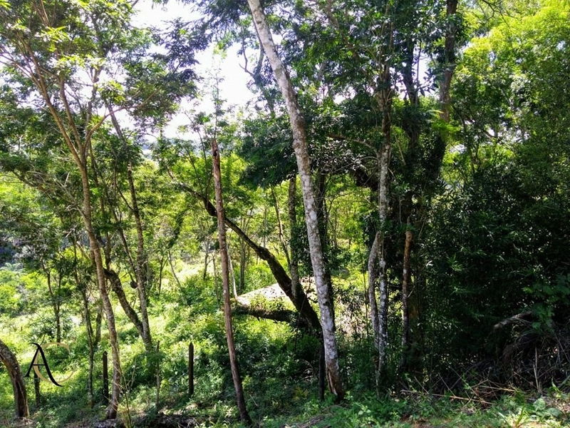 🌱 Terreno à Venda em Ipiabas, com 1257 m².: 4ª foto da galeria de imagens do imóvel