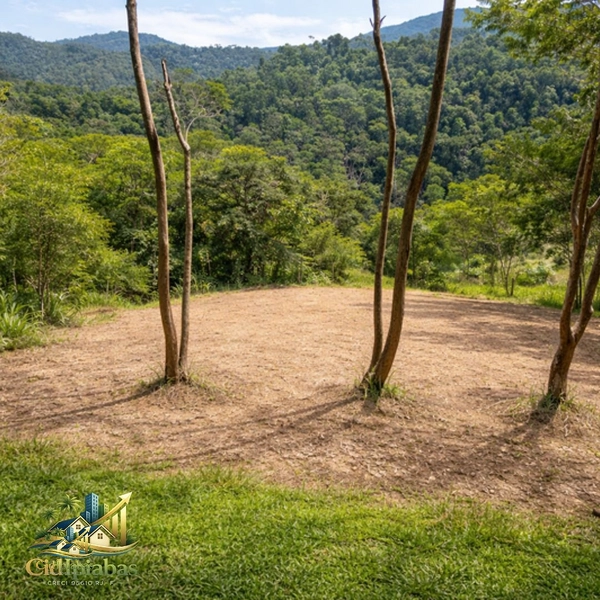 🌄Terreno à Venda em Ipiabas – 1.257m² com Vista Privilegiada: 2ª foto da galeria de imagens do imóvel