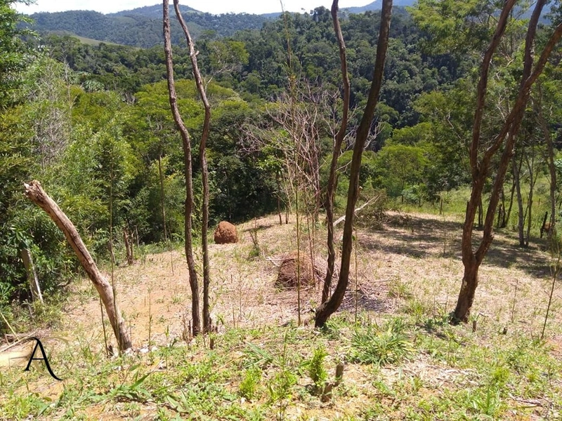 🌱 Terreno à Venda em Ipiabas, com 1257 m².: 3ª foto da galeria de imagens do imóvel