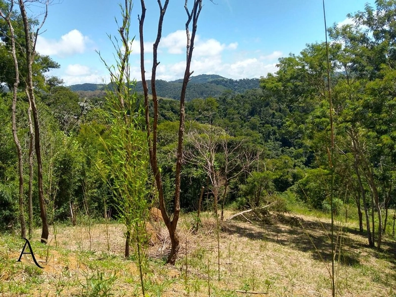 🌱 Terreno à Venda em Ipiabas, com 1257 m².: 2ª foto da galeria de imagens do imóvel