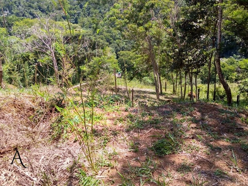🌱 Terreno à Venda em Ipiabas, com 1257 m².: 1ª foto da galeria de imagens do imóvel