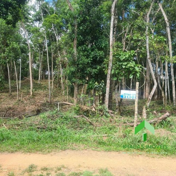 🌱 Terreno á venda em Ipiabas com 1634 m2: 4ª foto da galeria de imagens do imóvel