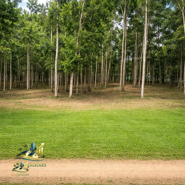 🌱 Terreno de 1.634m² em Ipiabas Próximo à Cachoeira: 7ª foto da galeria de imagens do imóvel