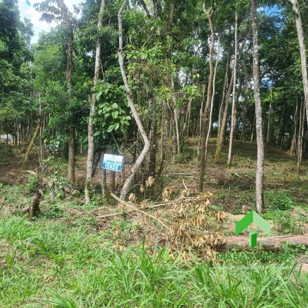 🌱 Terreno á venda em Ipiabas com 1634 m2: 7ª foto da galeria de imagens do imóvel