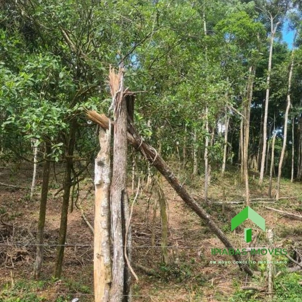 🌱 Terreno á venda em Ipiabas com 1634 m2: 6ª foto da galeria de imagens do imóvel