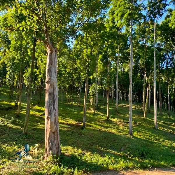 🌄 Terreno à Venda em Ipiabas – 1.634m² no Vale Verde 1 com Escritura e RGI: 8ª foto da galeria de imagens do imóvel