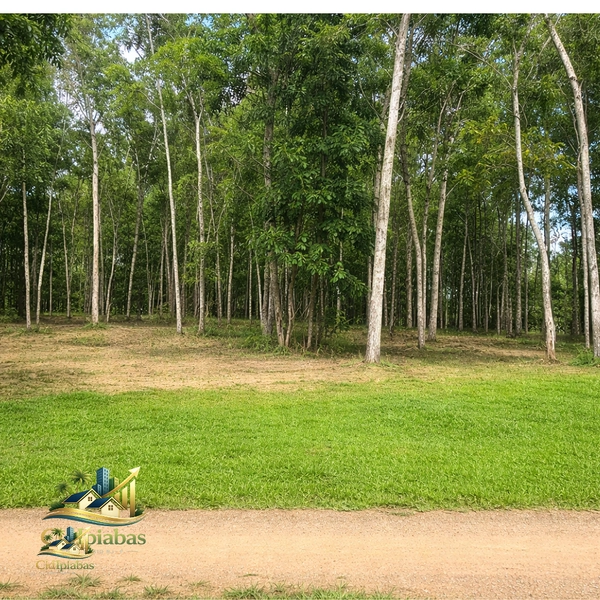 🌱 Terreno de 1.634m² em Ipiabas Próximo à Cachoeira: 3ª foto da galeria de imagens do imóvel