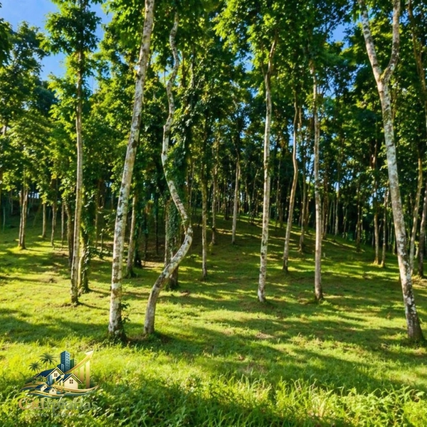 🌄 Terreno à Venda em Ipiabas – 1.634m² no Vale Verde 1 com Escritura e RGI: 6ª foto da galeria de imagens do imóvel