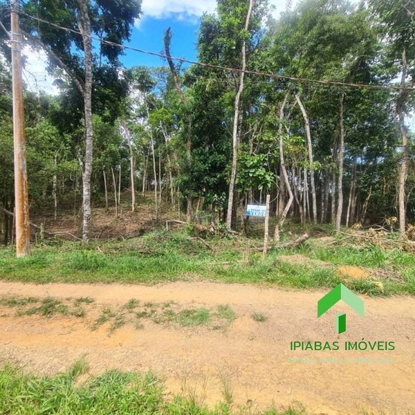 🌱 Terreno á venda em Ipiabas com 1634 m2: 3ª foto da galeria de imagens do imóvel