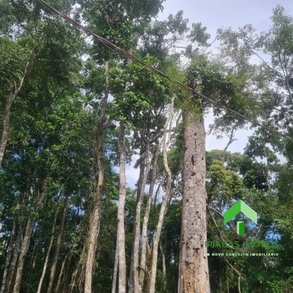 🌱 Terreno á venda em Ipiabas com 1634 m2: 5ª foto da galeria de imagens do imóvel