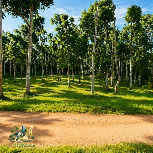 🌄 Terreno à Venda em Ipiabas – 1.634m² no Vale Verde 1 com Escritura e RGI: 3ª foto da galeria de imagens do imóvel