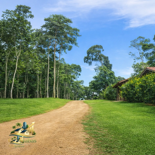 🌱 Terreno de 1.634m² em Ipiabas Próximo à Cachoeira: 5ª foto da galeria de imagens do imóvel