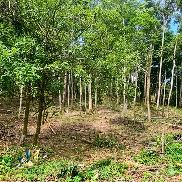 🌄 Terreno à Venda em Ipiabas – 1.634m² no Vale Verde 1 com Escritura e RGI: 5ª foto da galeria de imagens do imóvel