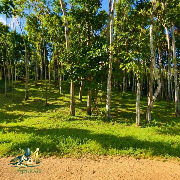 🌄 Terreno à Venda em Ipiabas – 1.634m² no Vale Verde 1 com Escritura e RGI: 4ª foto da galeria de imagens do imóvel