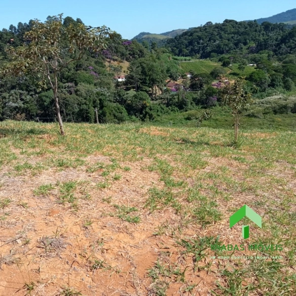 🌱 Terreno com 1.225 m² em Ipiabas: 3ª foto da galeria de imagens do imóvel