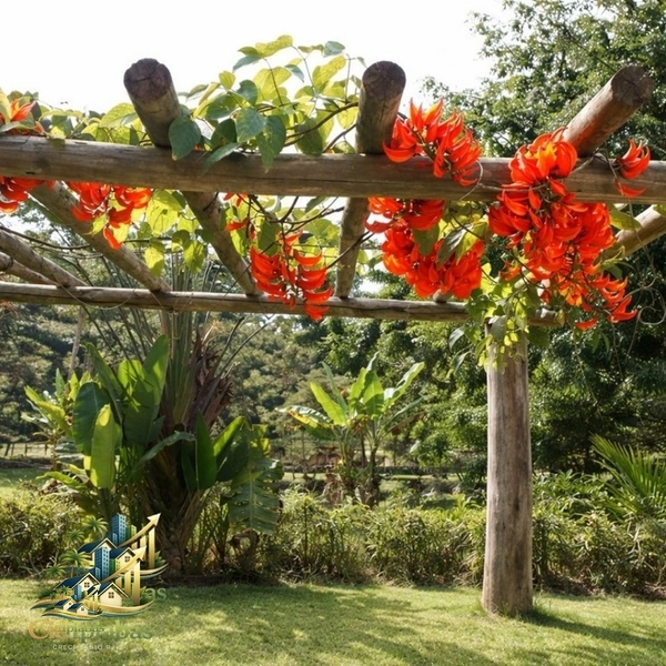 🌿 Chalés à Venda no Centro Histórico de Ipiabas – Renda Imediata + Estilo de Vida: 33ª foto da galeria de imagens do imóvel