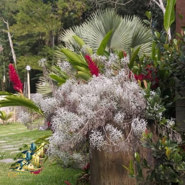 🌿 Chalés à Venda no Centro Histórico de Ipiabas – Renda Imediata + Estilo de Vida: 49ª foto da galeria de imagens do imóvel