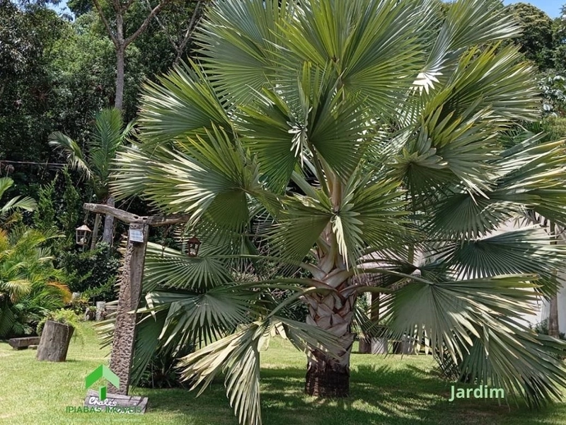 🌱 Casa a venda em Ipiabas, 3 Chalés Completos.: 72ª foto da galeria de imagens do imóvel