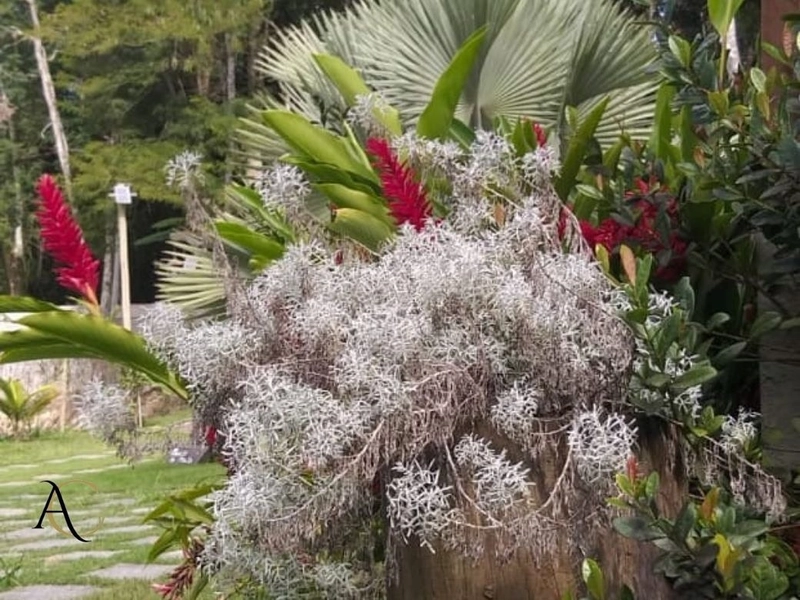 🌱 Casa a venda em Ipiabas, 3 Chalés Completos.: 53ª foto da galeria de imagens do imóvel
