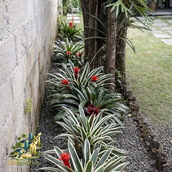 🌿 Chalés à Venda no Centro Histórico de Ipiabas – Renda Imediata + Estilo de Vida: 32ª foto da galeria de imagens do imóvel