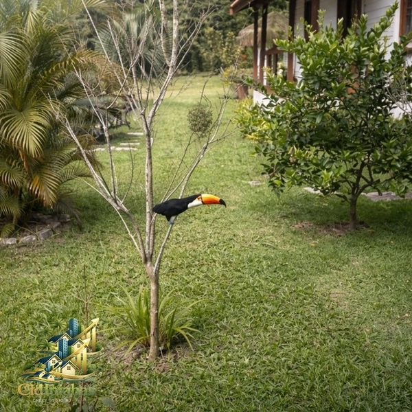 🌿 Chalés à Venda no Centro Histórico de Ipiabas – Renda Imediata + Estilo de Vida: 23ª foto da galeria de imagens do imóvel