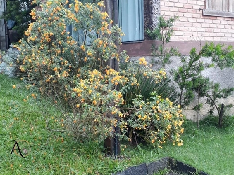 🌱 Casa a venda em Ipiabas, 3 Chalés Completos.: 17ª foto da galeria de imagens do imóvel