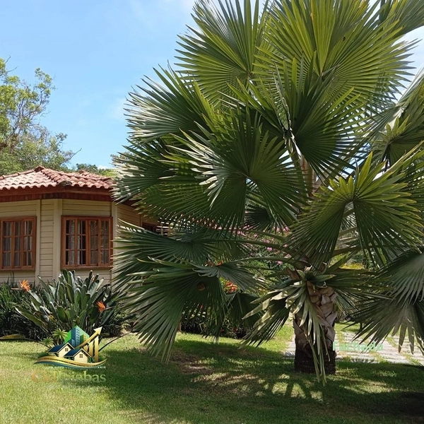 🌱 CASA À VENDA EM IPIABAS – 3 CHALÉS COMPLETOS: 5ª foto da galeria de imagens do imóvel