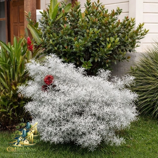 🌿 Chalés à Venda no Centro Histórico de Ipiabas – Renda Imediata + Estilo de Vida: 47ª foto da galeria de imagens do imóvel