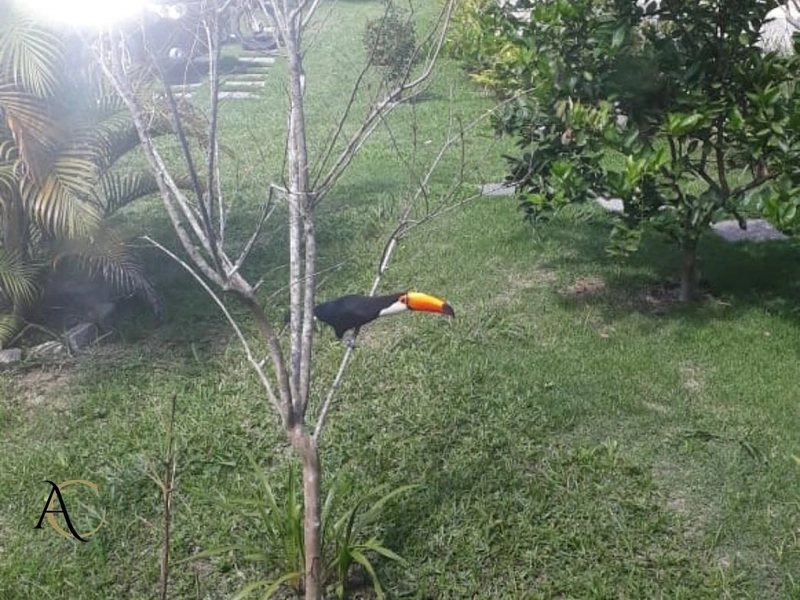 🌱 Casa a venda em Ipiabas, 3 Chalés Completos.: 44ª foto da galeria de imagens do imóvel