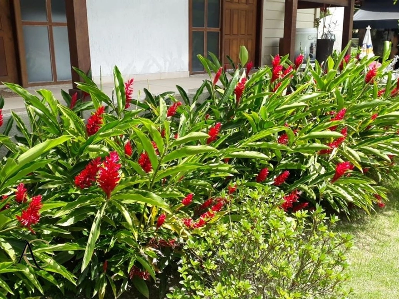 🌱 Casa a venda em Ipiabas, 3 Chalés Completos.: 49ª foto da galeria de imagens do imóvel